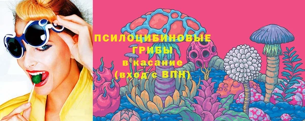 эйфоретик Сатка