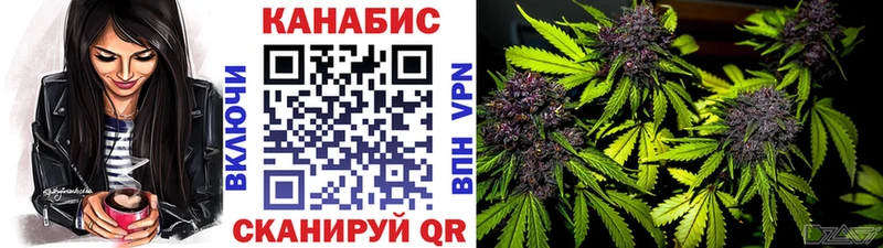 как найти   Макарьев  hydra маркетплейс  Конопля OG Kush 